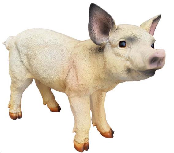 Schwein 35 x 45cm ca.