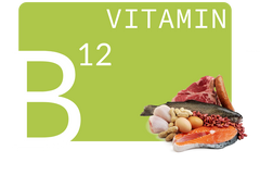 Vitamin B12