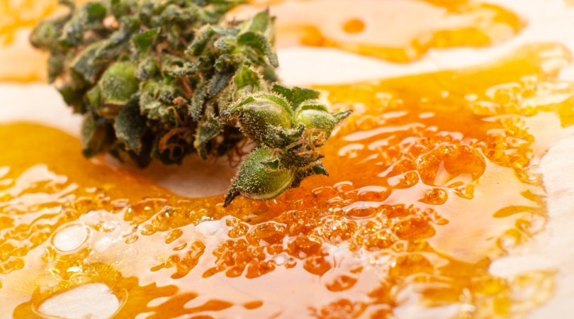 Rosin Dabs - A Guide To Solventless Extraction