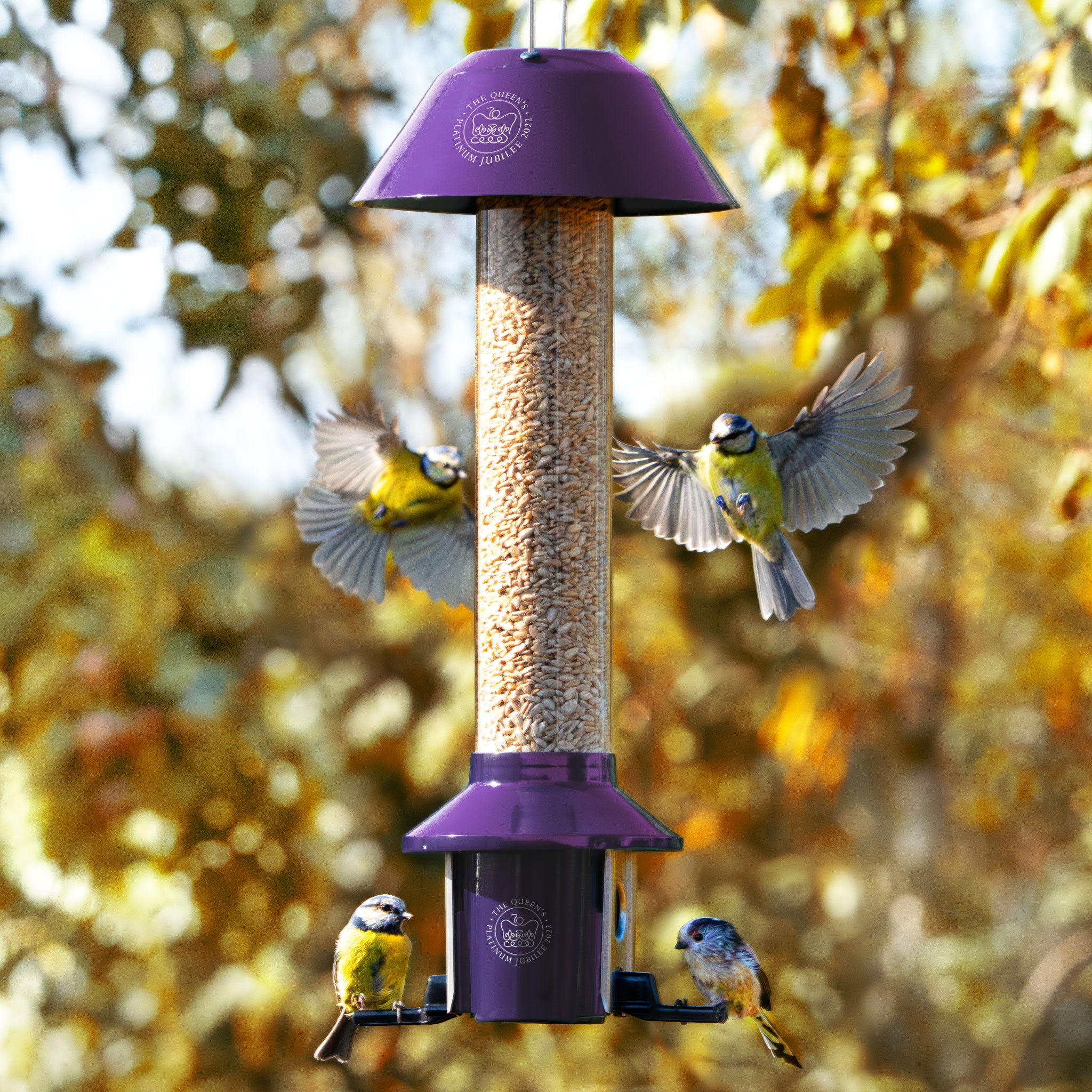 PestOff Squirrel Proof Bird Feeder - Feed Songbirds Not Squirrels – Roamwild