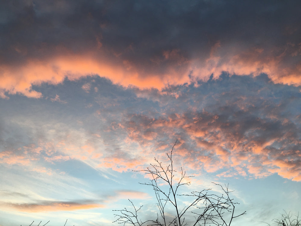 January sunrise, pink clouds and blue sky