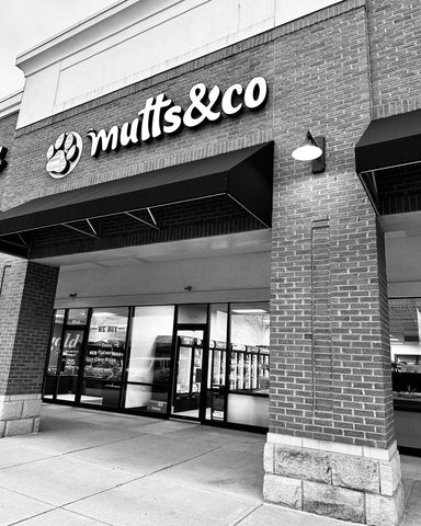 Mutts & Co. Worthington / Clintonville