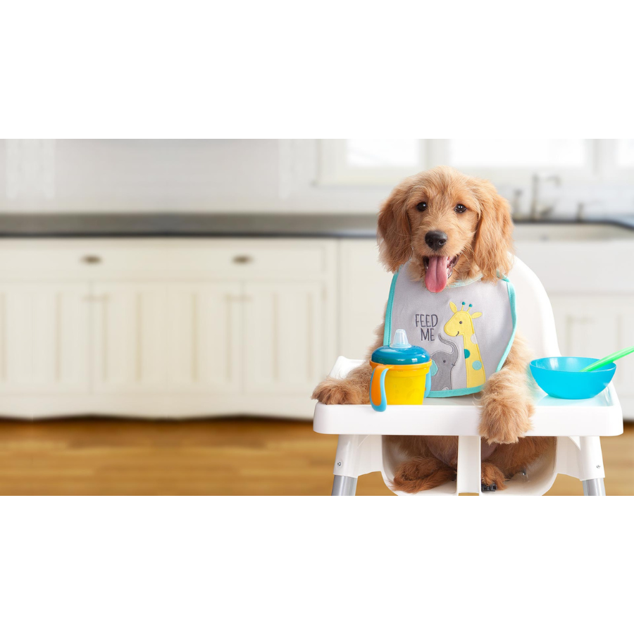 is fromm gold puppy food grain free