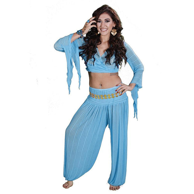 Belly Dance Harem Pants And Choli Top Costume Set Sheer Harem 4499 Usd Missbellydance