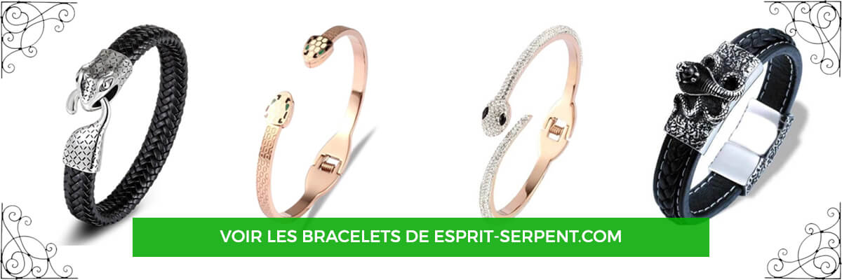 Bracelets Serpent