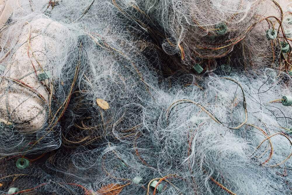 fishing net trap causing immense harm to the ecosystem