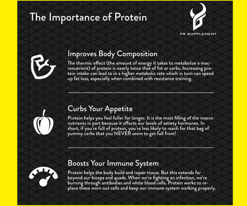 the importance of protein infographic by PR supplement