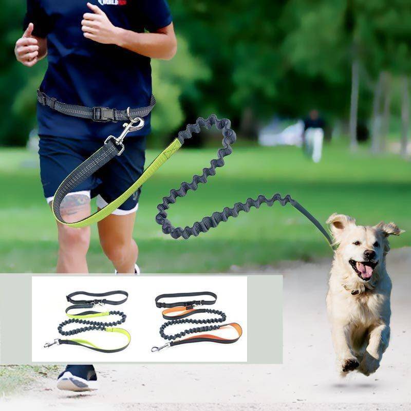 handsfree bungee dog leash