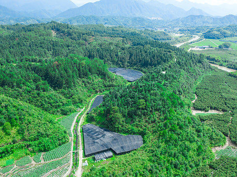 Landscape image of Certified Organic Farm In China