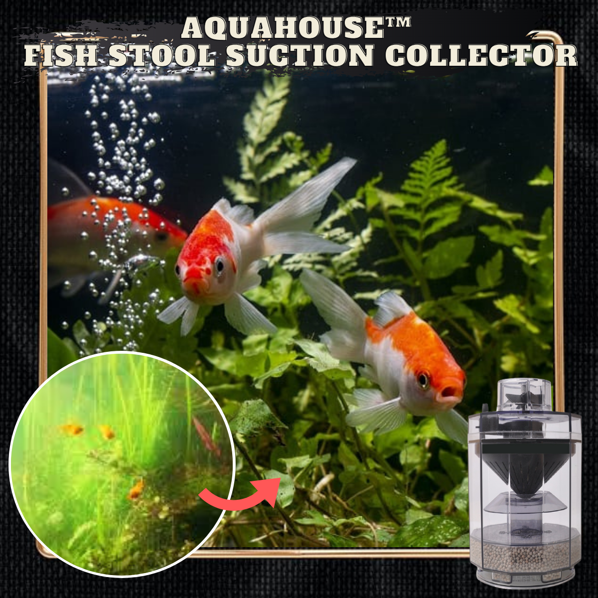 AquaHouse™ Fish Stool Suction Collector | LaptrinhX / News