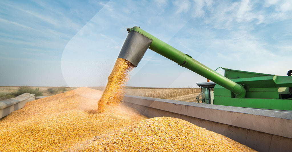 Agri business harvesting maize linkedin