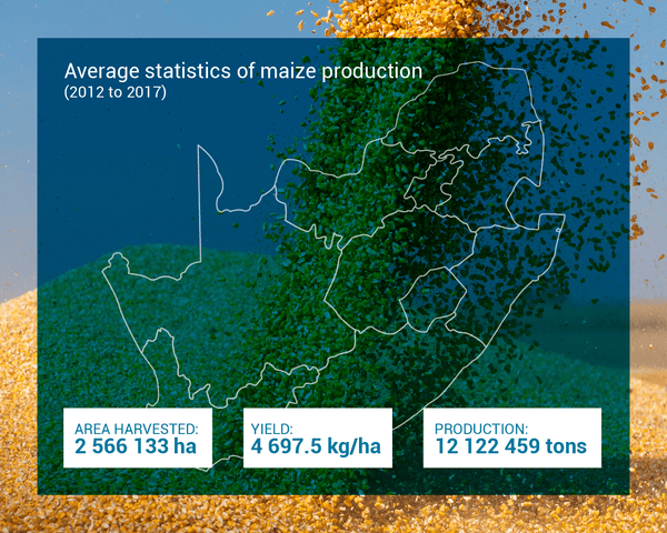 maize farming business plan in south africa