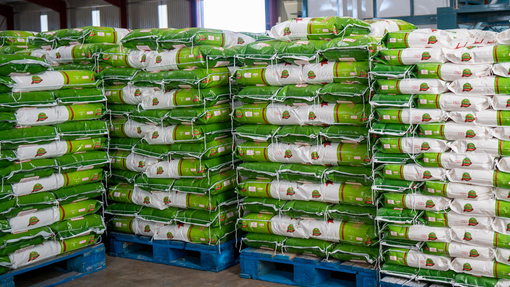 Roff client stacked bags of maize