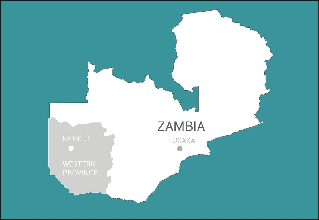 Zambia western province mongu