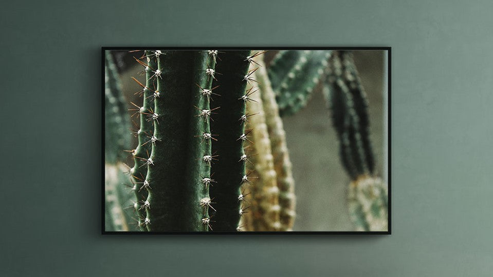 Fotografie poster