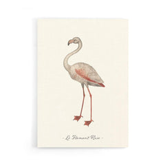 animal art; flamingo