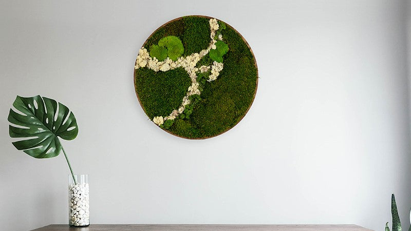 moss paintings