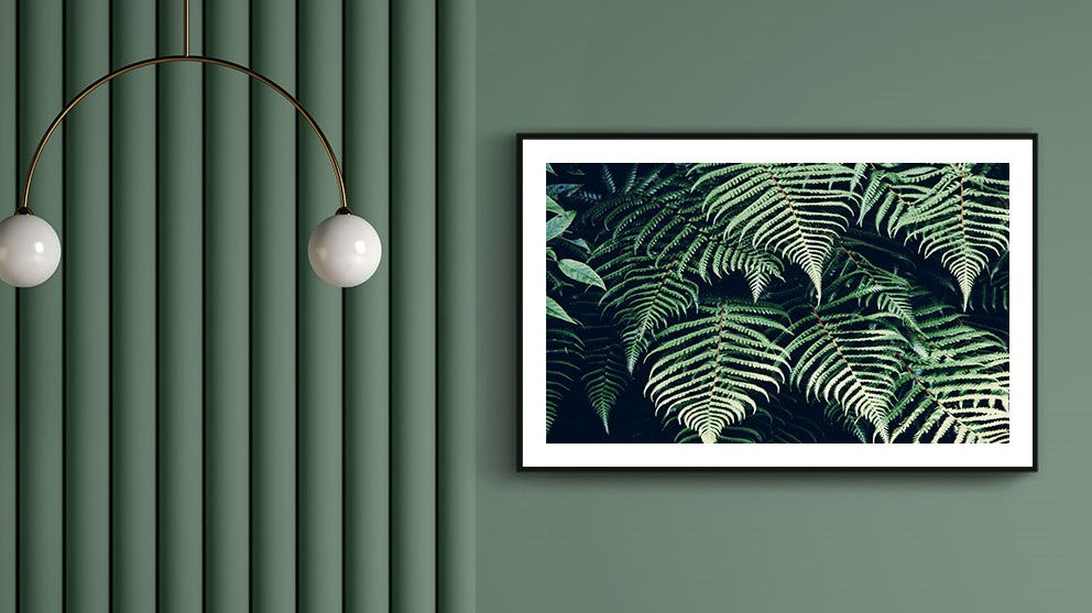 plantes posters