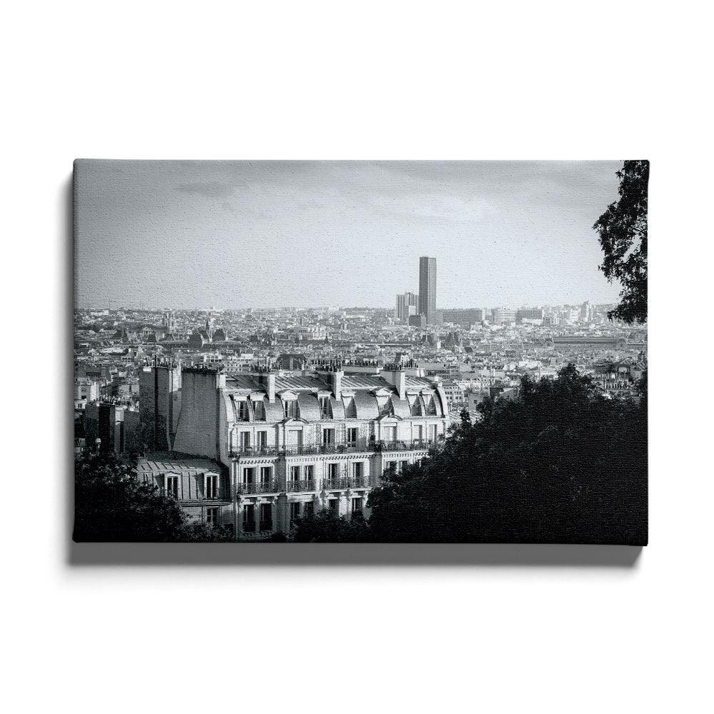 Aannemer wanhoop Dochter Zwart wit poster Parijs bestellen | Walljar.com