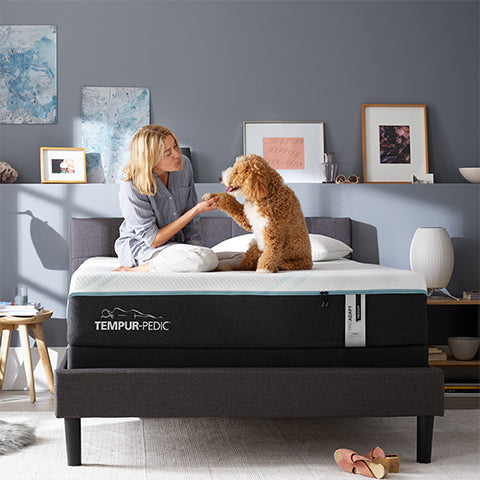 Tempur-Pedic Series Title