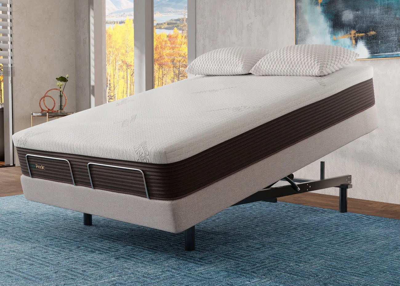 adjustable bed for acid reflux