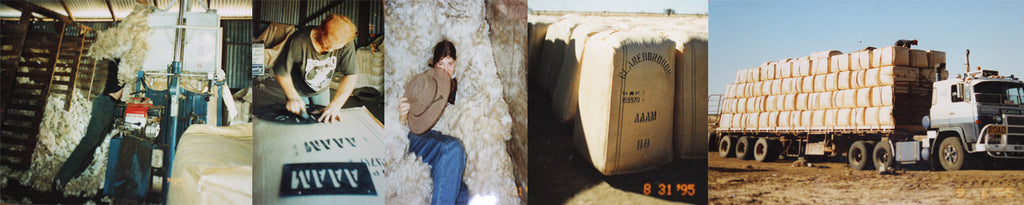 Shearing Time at Clareborough Station 1995