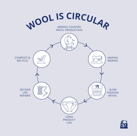 wool is circular diagram