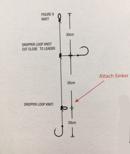 https://cdn.shopify.com/s/files/1/0084/0187/9106/products/LighSurfRigDiagram.png?v=1604109508&width=533