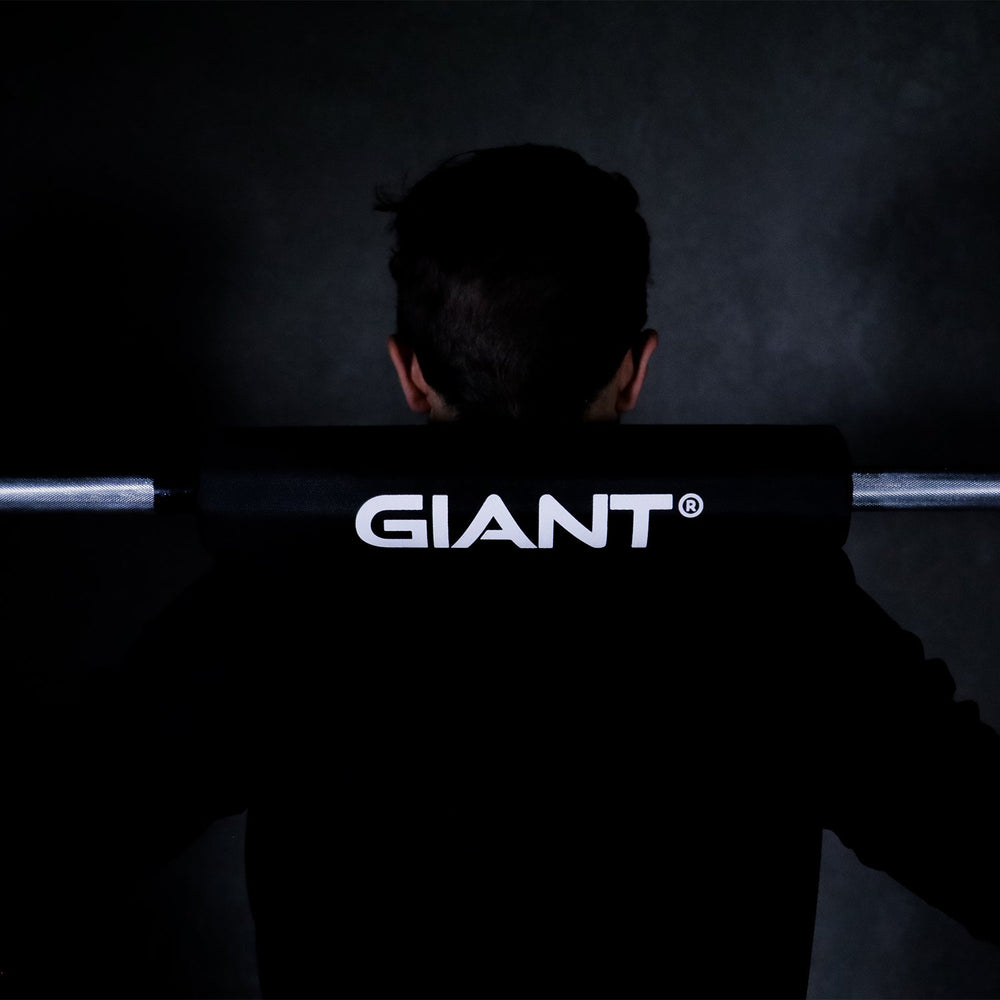 GIANT Cast Iron Plates – Giant Lifting
