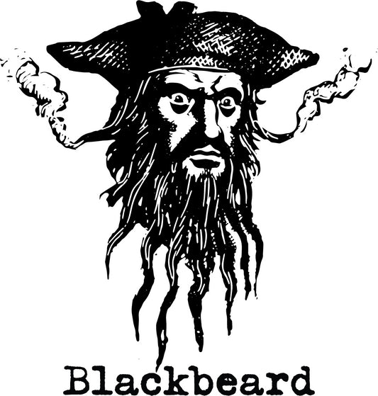 https://cdn.shopify.com/s/files/1/0084/0561/4628/products/blackbeard-head-sticker-accessories-house-of-swank-506019.jpg?v=1663756420&width=533