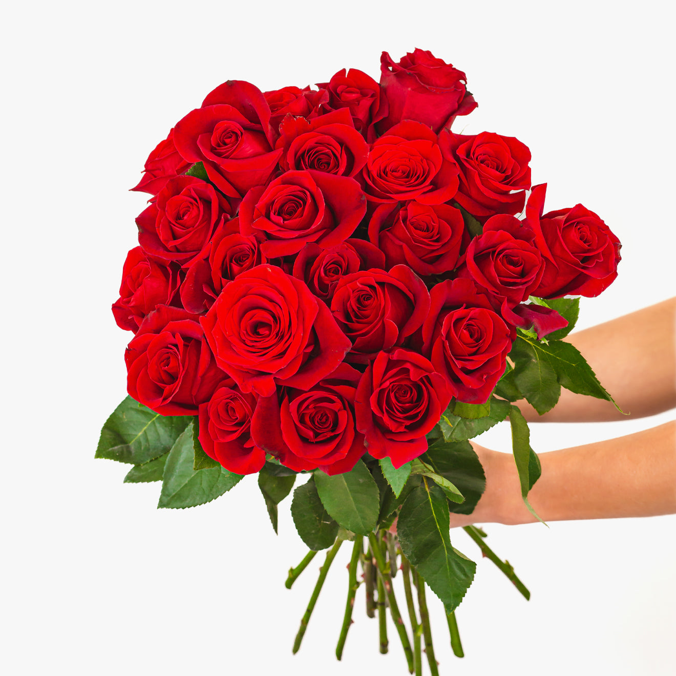 Splendid Red Roses Bouquet | BloomsyBox