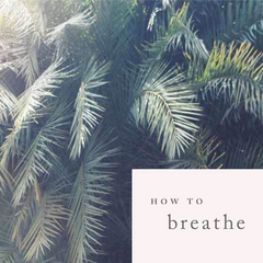 How To Breathe Book