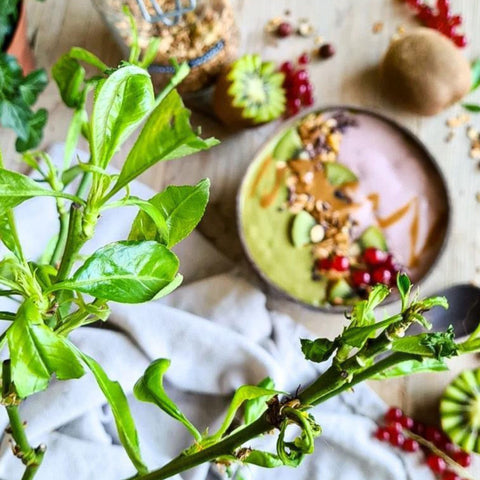 Matcha Sakura Smoothie Bowl Rezept - Matcha Oishii