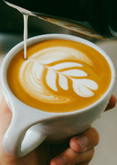 Latte Tulip