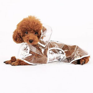 Imperméable transparent pour chien