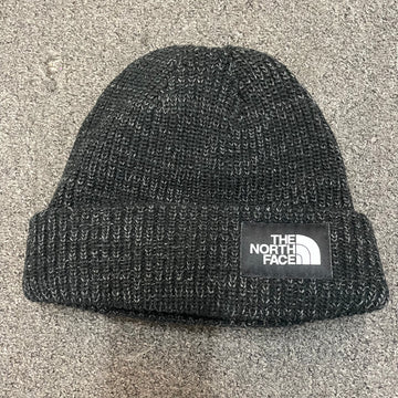 The North Face Salty Lined Beanie Dark Sage Bonnets : Snowleader