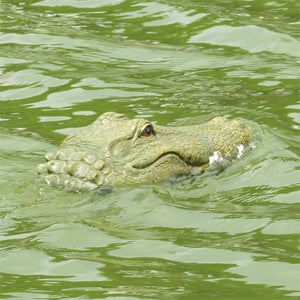rc alligator head boat