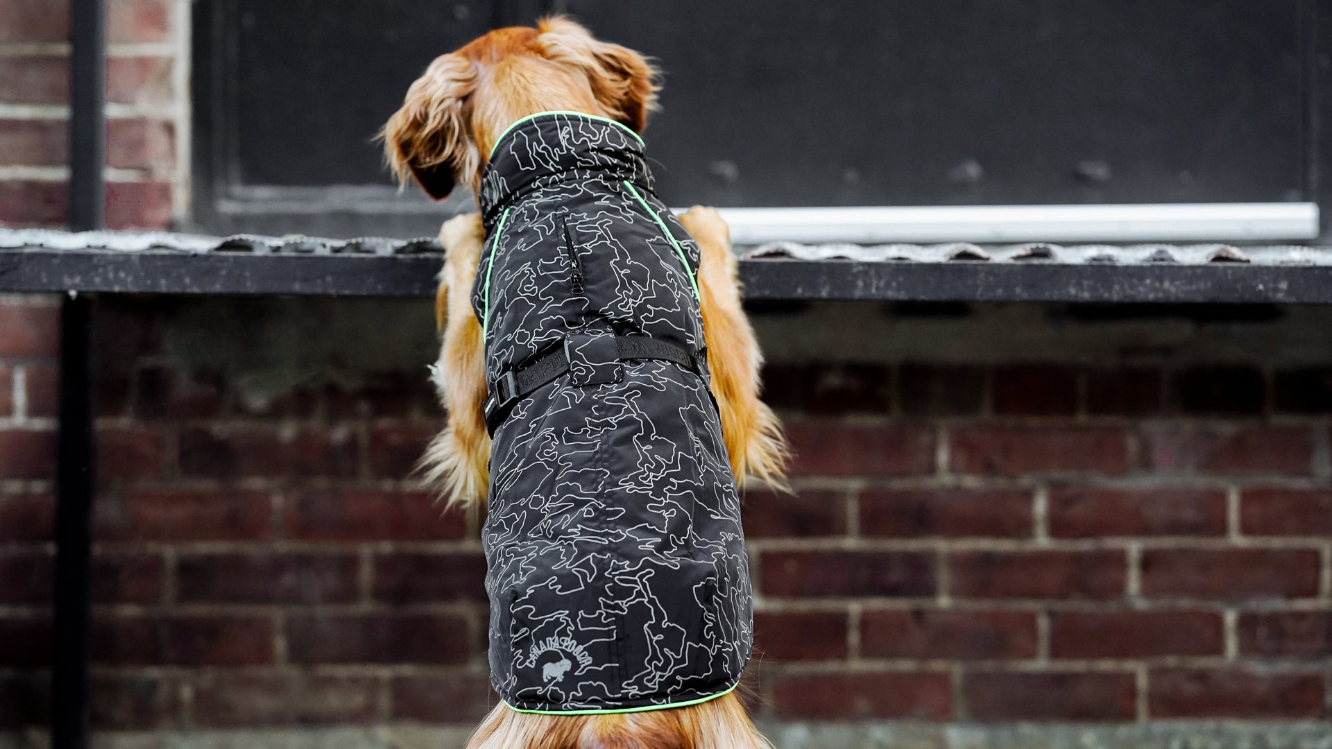 Expedition Coat 2.0