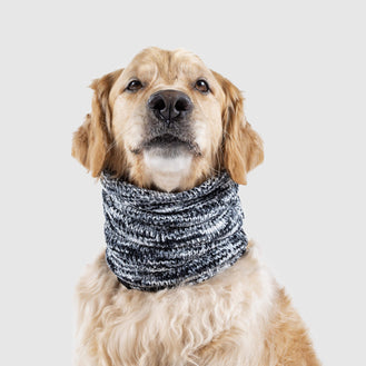 scarfs for dogs