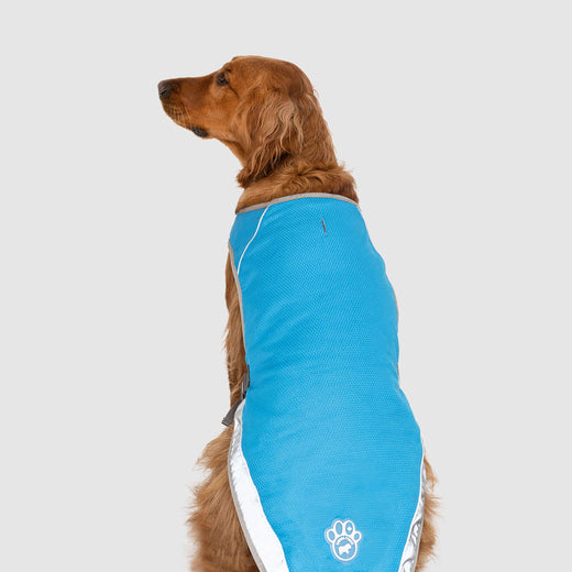 Chill Seeker Dog Cooling Vest | Canada 