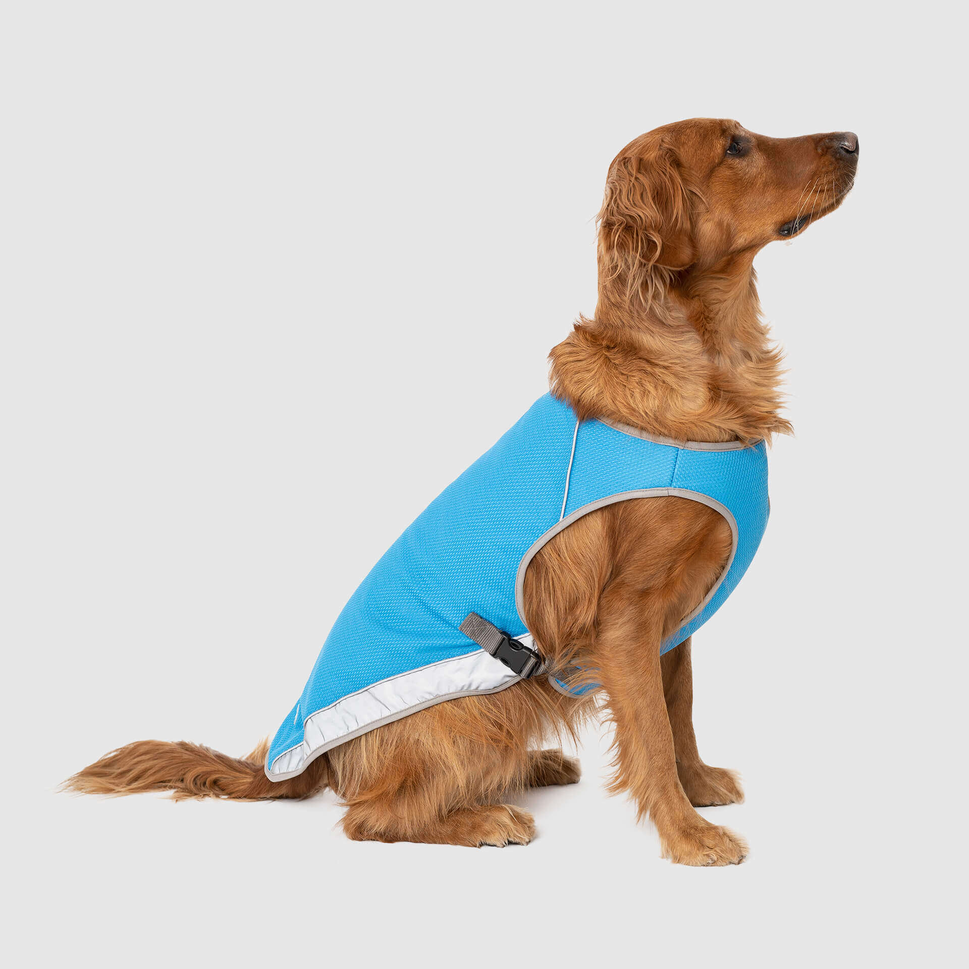 good2go cooling dog vest