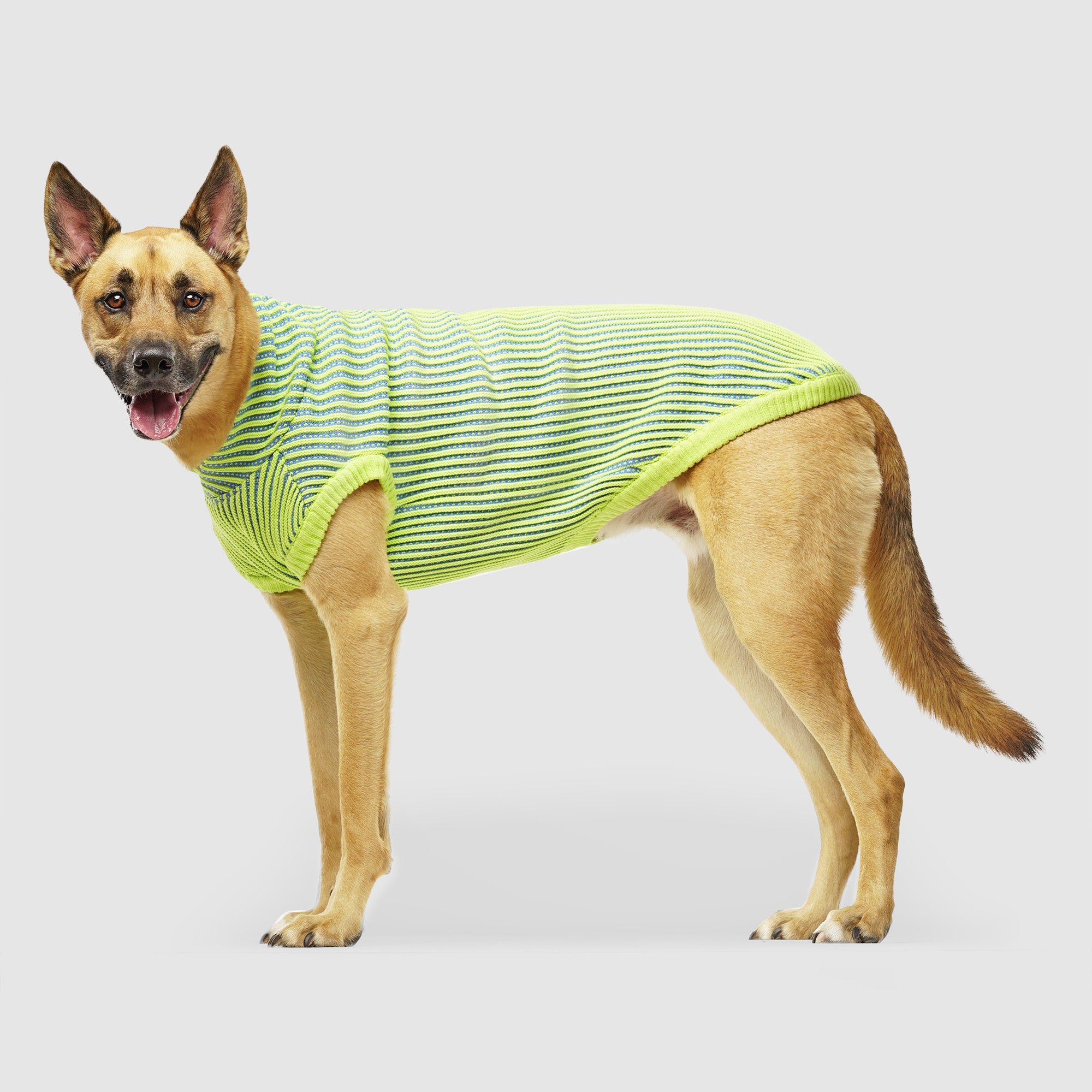 Icon Striped Dog Sweater | Canada Pooch