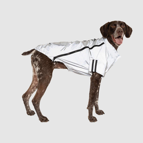 Night Vision Reflective Jacket, Canada Pooch Dog Jacket || color::reflective || size::22