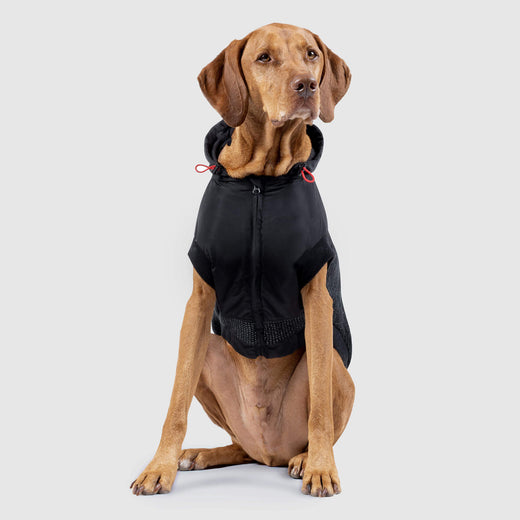 canada pooch north pole premium dog parka