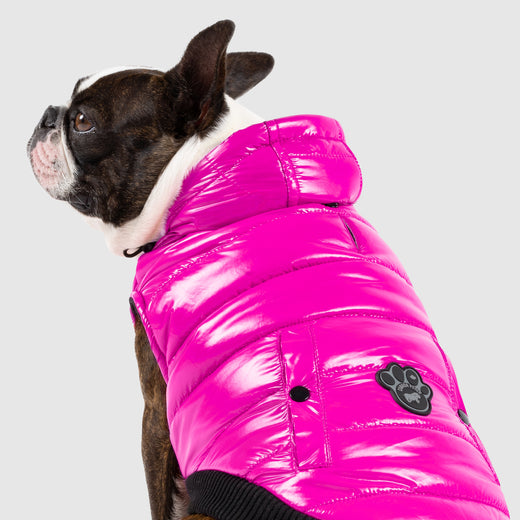 Shiny Dog Puffer Jacket | Canada Pooch