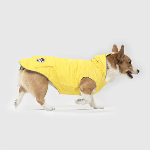 dog raincoat and wellies