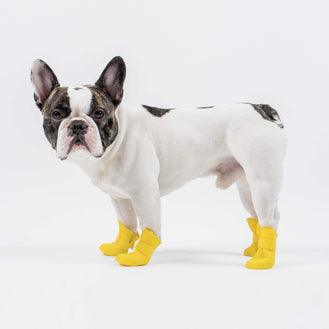 wellington boots for dogs