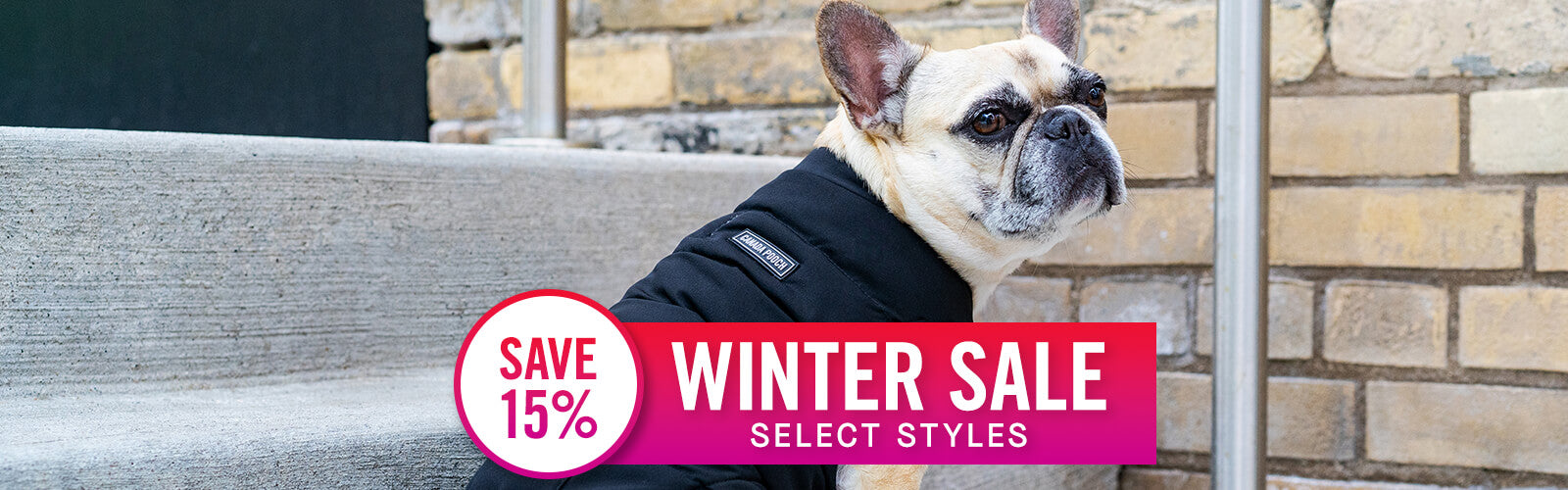 Dog Winter Clothing Deals