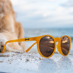 Best Beach Sunglasses: Buyer's Guide