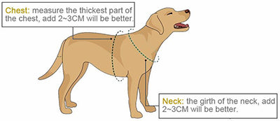 Pet Size Chart